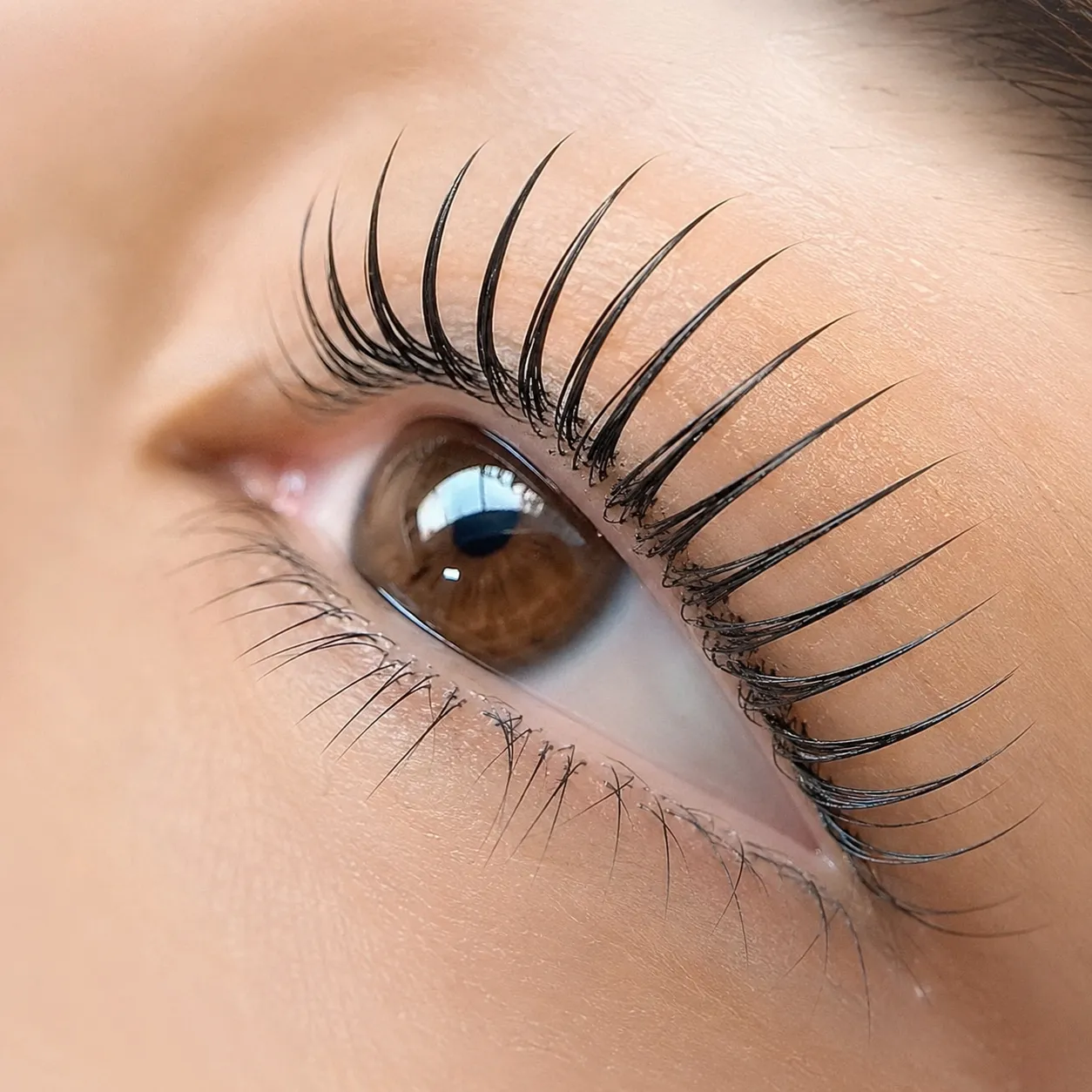 Korean Lash lifting